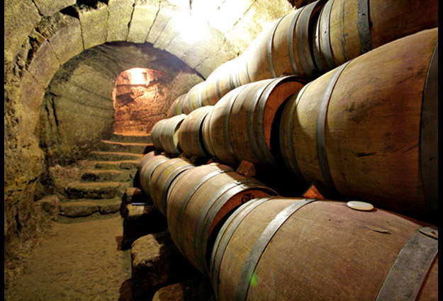 Crianza Rioja Tempranillo 2023